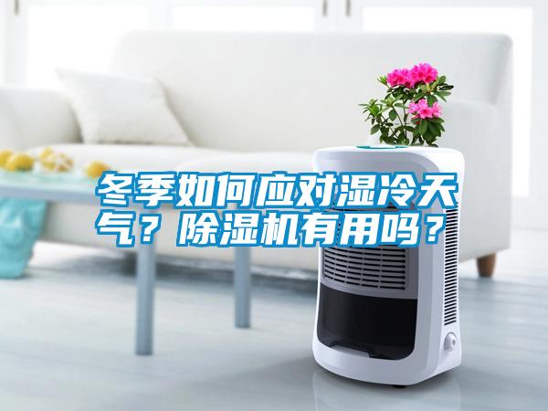 冬季如何應對濕冷天氣？除濕機有用嗎？