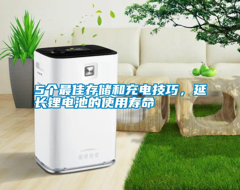 5個最佳存儲和充電技巧，延長鋰電池的使用壽命