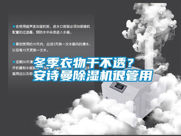 冬季衣物干不透？ 安詩曼除濕機很管用