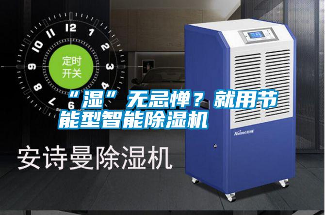 “濕”無忌憚？就用節能型智能除濕機