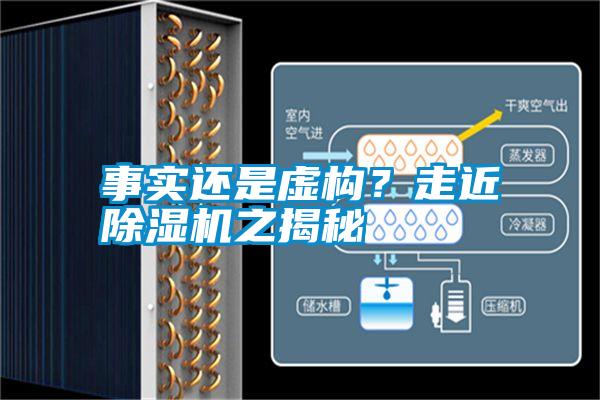 事實(shí)還是虛構(gòu)？走近除濕機(jī)之揭秘