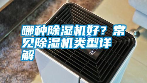 哪種除濕機好？常見除濕機類型詳解