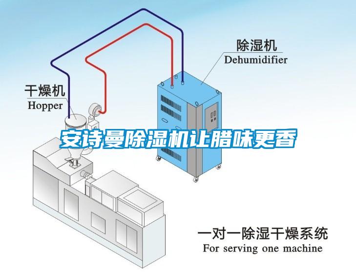 安詩曼除濕機(jī)讓臘味更香