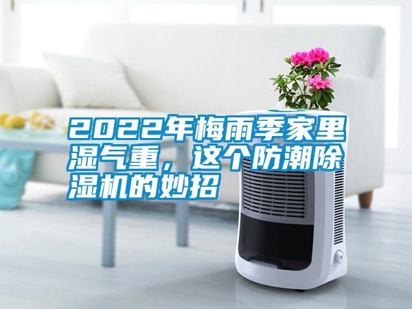 2022年梅雨季家里濕氣重，這個(gè)防潮除濕機(jī)的妙招