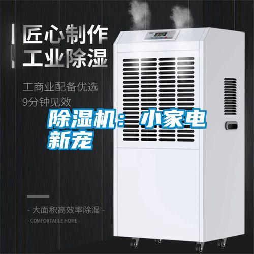 除濕機：小家電新寵