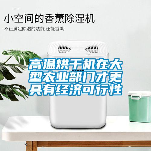 高溫烘干機在大型農業部門才更具有經濟可行性