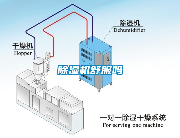 除濕機舒服嗎