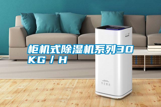 柜機式除濕機系列30KG／H