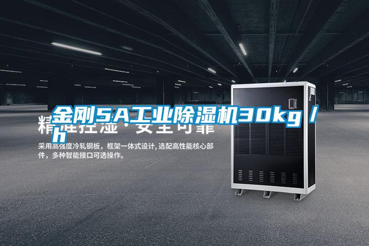 金剛5A工業除濕機30kg／h