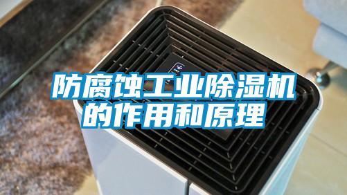 防腐蝕工業除濕機的作用和原理