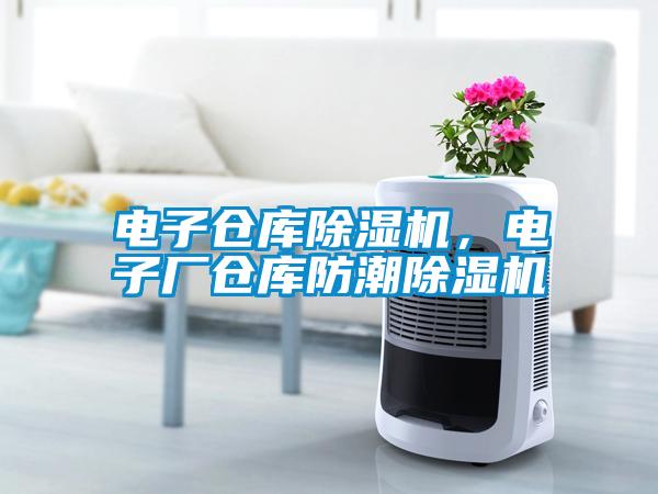 電子倉庫除濕機，電子廠倉庫防潮除濕機