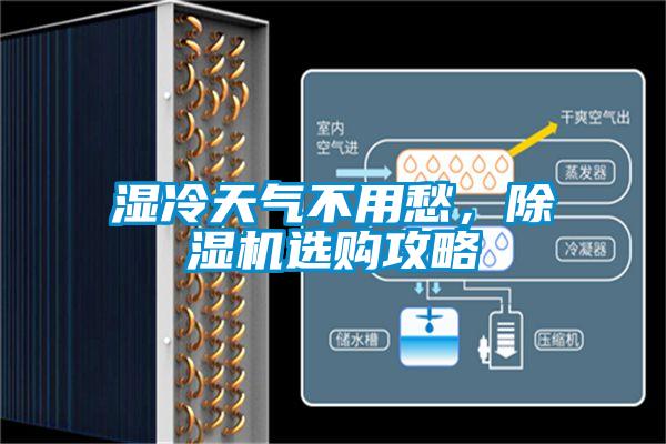 濕冷天氣不用愁，除濕機選購攻略