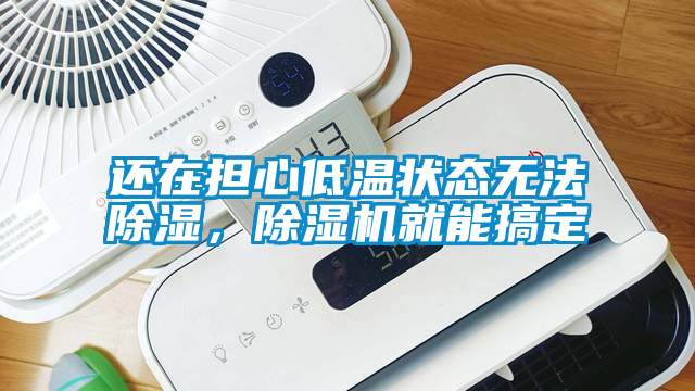 還在擔心低溫狀態無法除濕，除濕機就能搞定