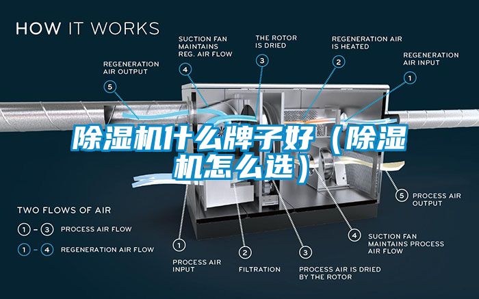 除濕機什么牌子好（除濕機怎么選）