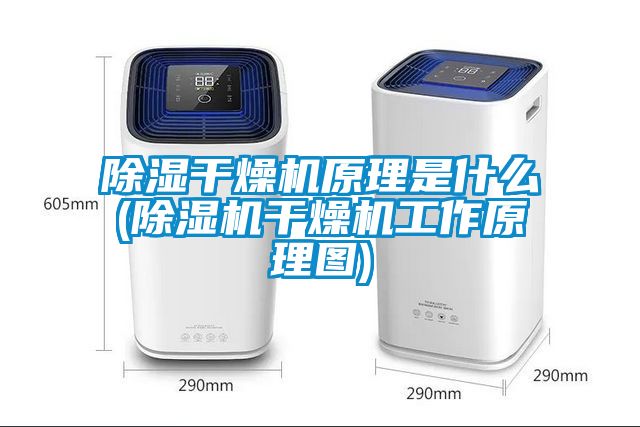 除濕干燥機原理是什么(除濕機干燥機工作原理圖)