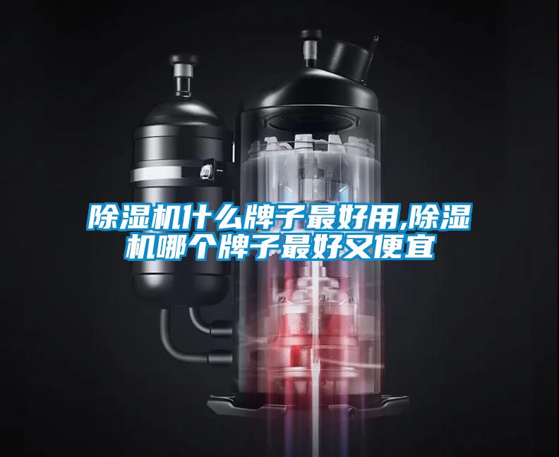 除濕機什么牌子最好用,除濕機哪個牌子最好又便宜