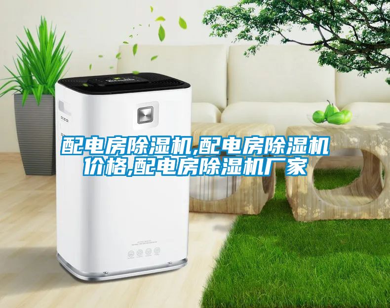 配電房除濕機,配電房除濕機價格,配電房除濕機廠家