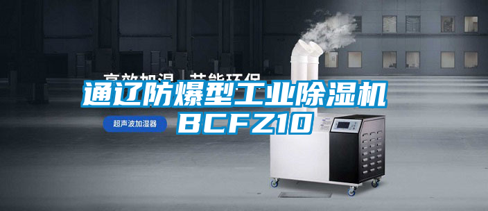 通遼防爆型工業除濕機 BCFZ10