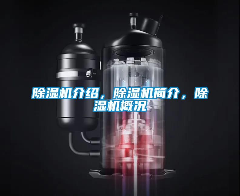 除濕機介紹，除濕機簡介，除濕機概況