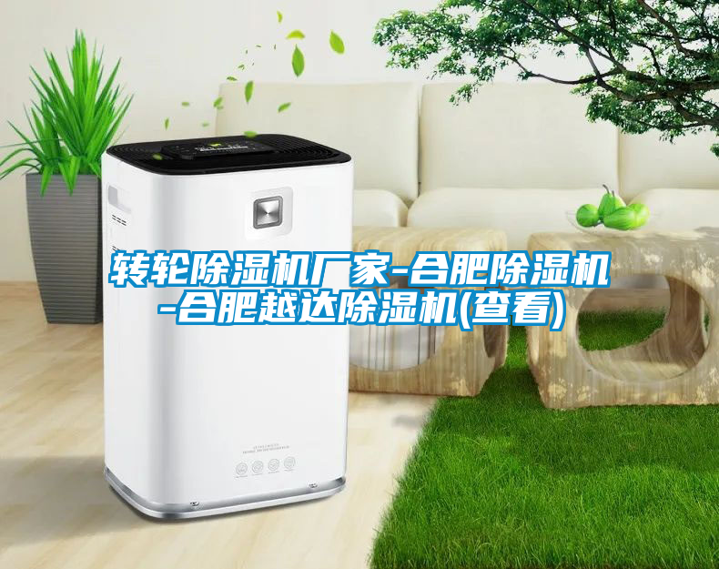 轉輪除濕機廠家-合肥除濕機-合肥越達除濕機(查看)