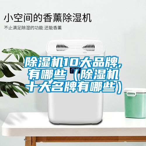 除濕機10大品牌,有哪些（除濕機十大名牌有哪些）