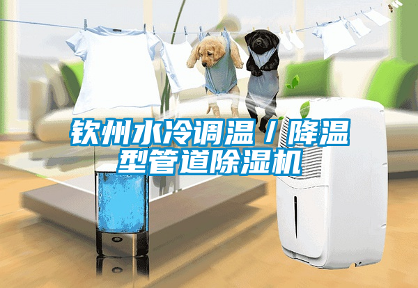 欽州水冷調溫／降溫型管道除濕機