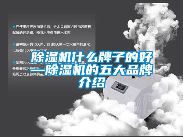 除濕機什么牌子的好—除濕機的五大品牌介紹