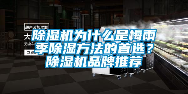 除濕機為什么是梅雨季除濕方法的首選？除濕機品牌推薦