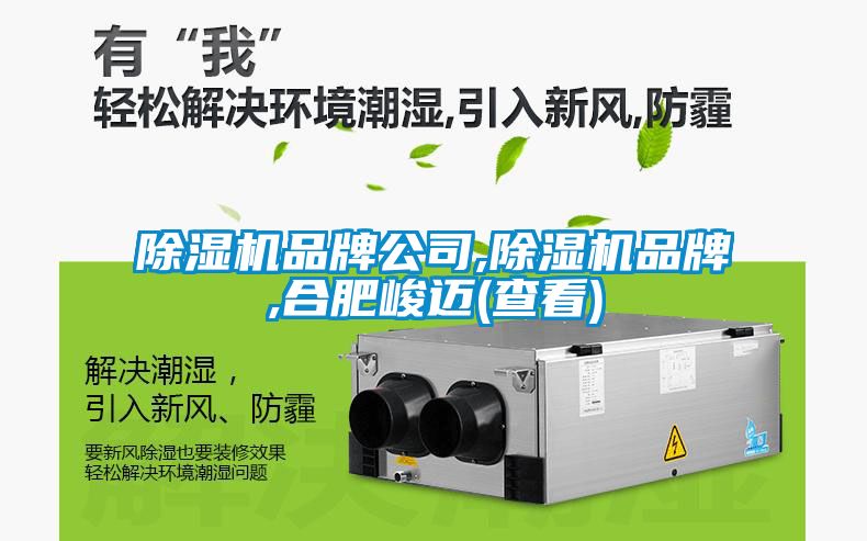 除濕機品牌公司,除濕機品牌,合肥峻邁(查看)