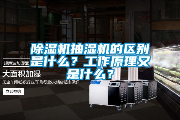 除濕機抽濕機的區(qū)別是什么？工作原理又是什么？