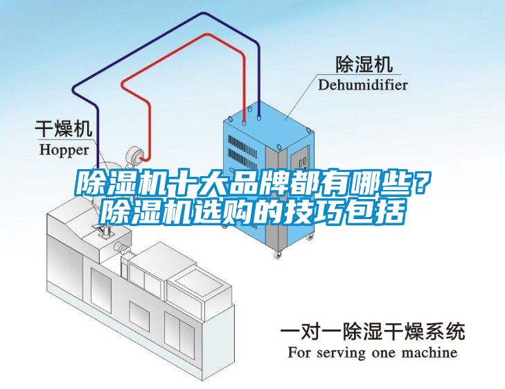 除濕機十大品牌都有哪些？除濕機選購的技巧包括