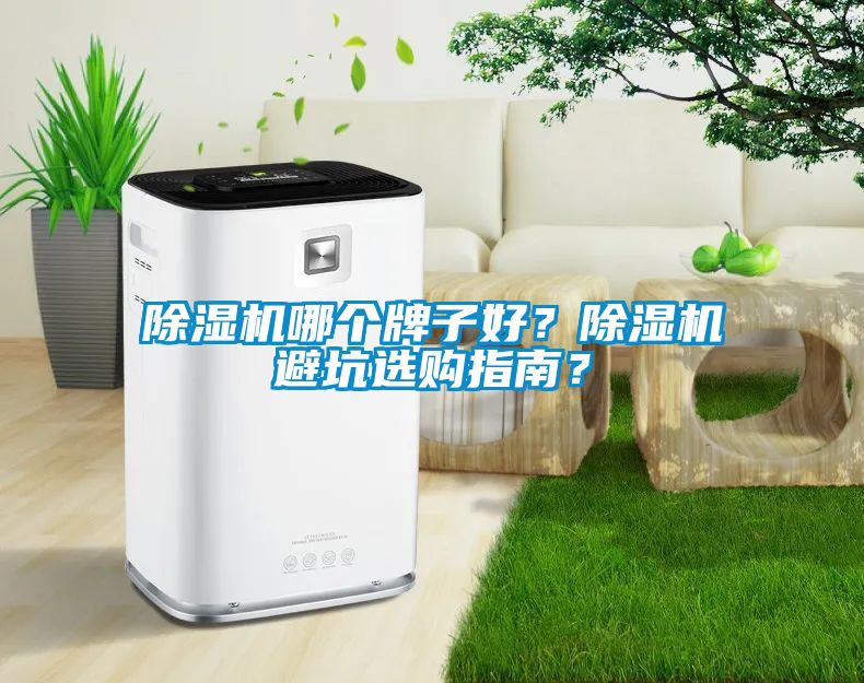 除濕機哪個牌子好？除濕機避坑選購指南？