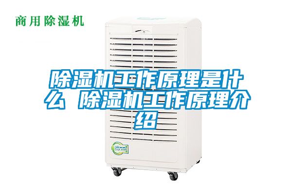 除濕機工作原理是什么 除濕機工作原理介紹