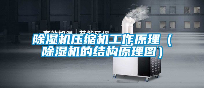 除濕機壓縮機工作原理（除濕機的結構原理圖）