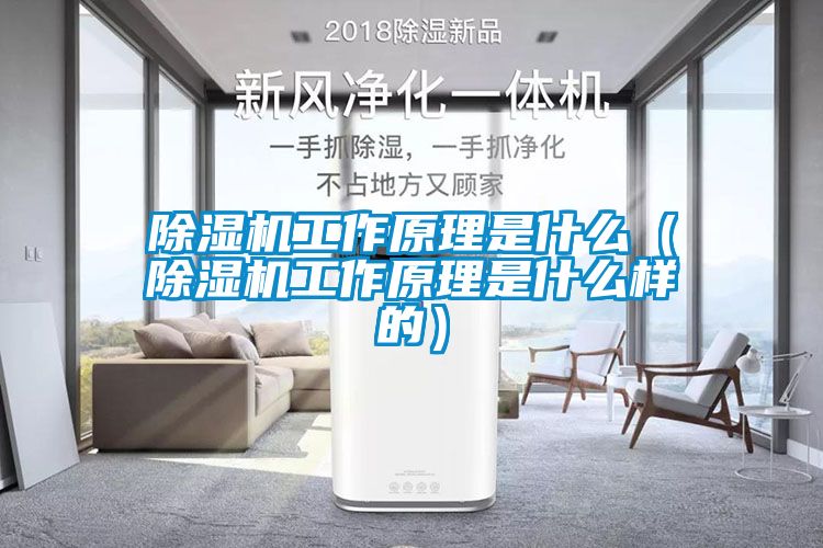 除濕機工作原理是什么（除濕機工作原理是什么樣的）