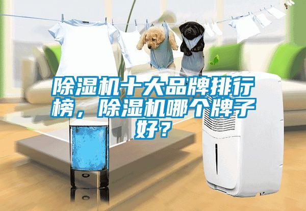 除濕機十大品牌排行榜，除濕機哪個牌子好？