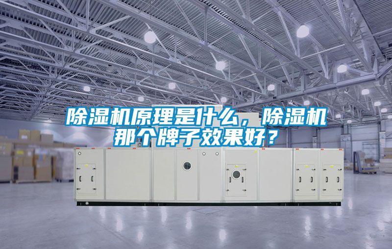 除濕機原理是什么，除濕機那個牌子效果好？