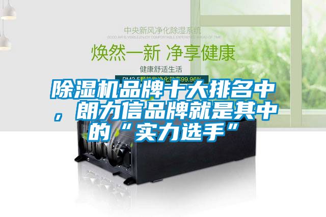 除濕機品牌十大排名中，朗力信品牌就是其中的“實力選手”