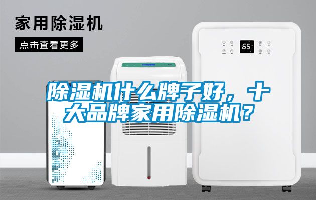 除濕機什么牌子好，十大品牌家用除濕機？