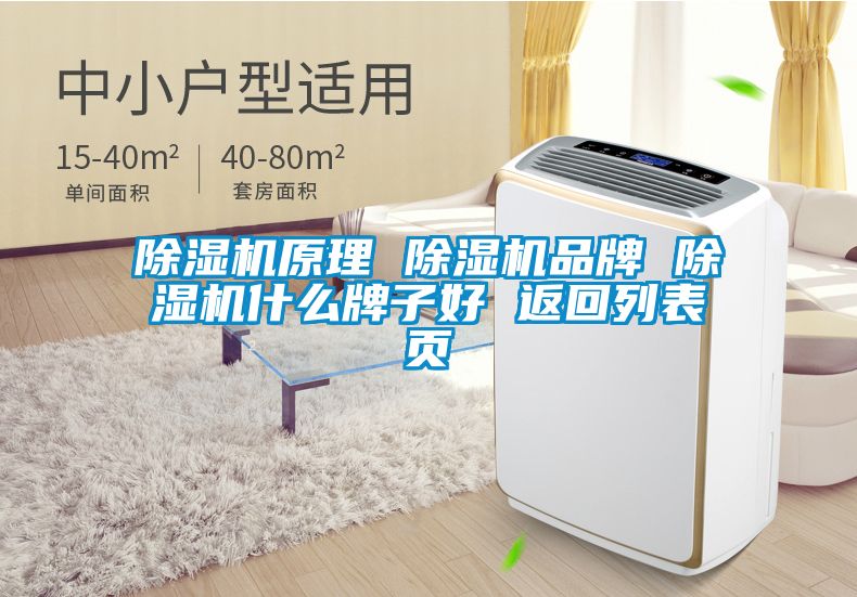 除濕機原理 除濕機品牌 除濕機什么牌子好 返回列表頁