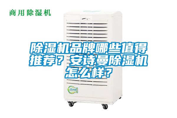 除濕機品牌哪些值得推薦？安詩曼除濕機怎么樣？