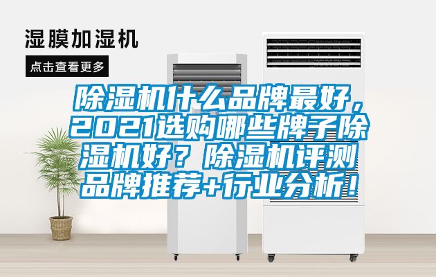 除濕機什么品牌最好，2021選購哪些牌子除濕機好？除濕機評測品牌推薦+行業分析！