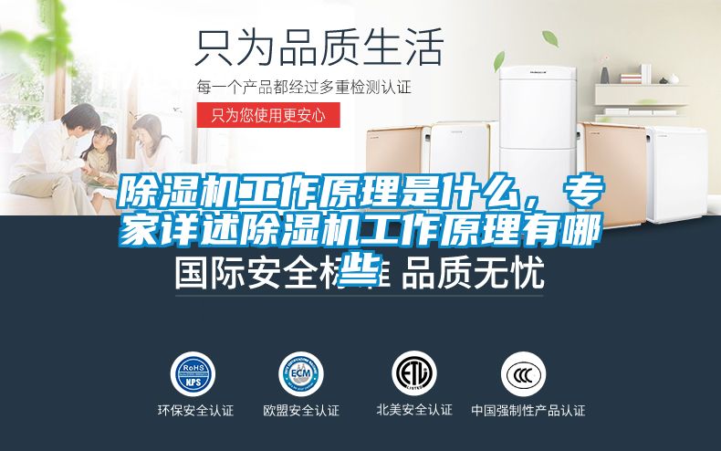 除濕機工作原理是什么，專家詳述除濕機工作原理有哪些