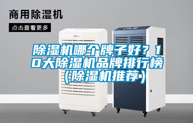 除濕機哪個牌子好？10大除濕機品牌排行榜（除濕機推薦）