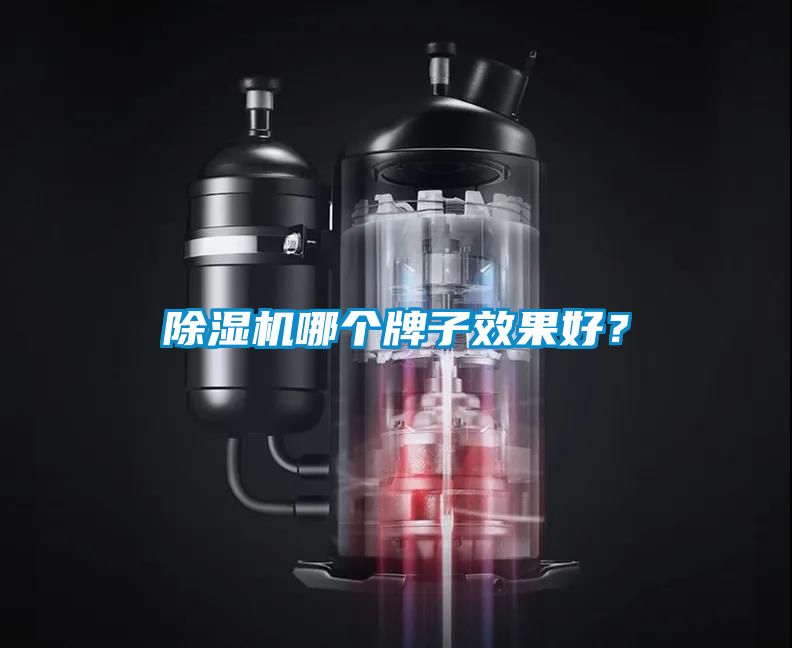 除濕機哪個牌子效果好？