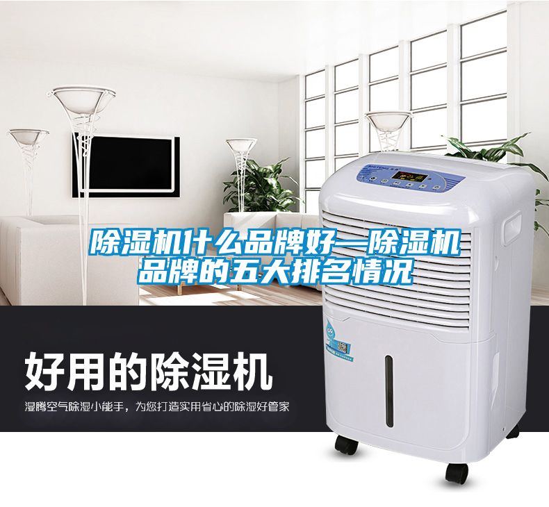 除濕機(jī)什么品牌好—除濕機(jī)品牌的五大排名情況