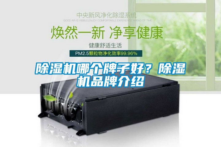 除濕機哪個牌子好？除濕機品牌介紹