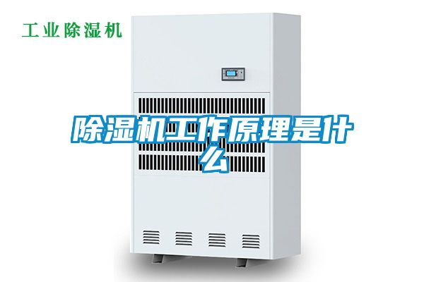 除濕機工作原理是什么