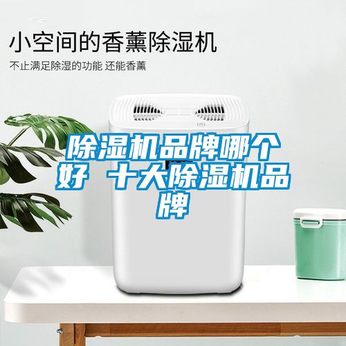 除濕機品牌哪個好 十大除濕機品牌