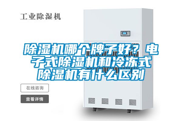 除濕機哪個牌子好？電子式除濕機和冷凍式除濕機有什么區別